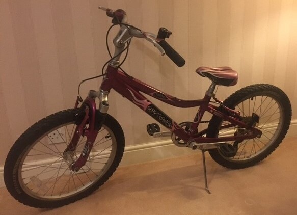 gary fisher cosmo bike